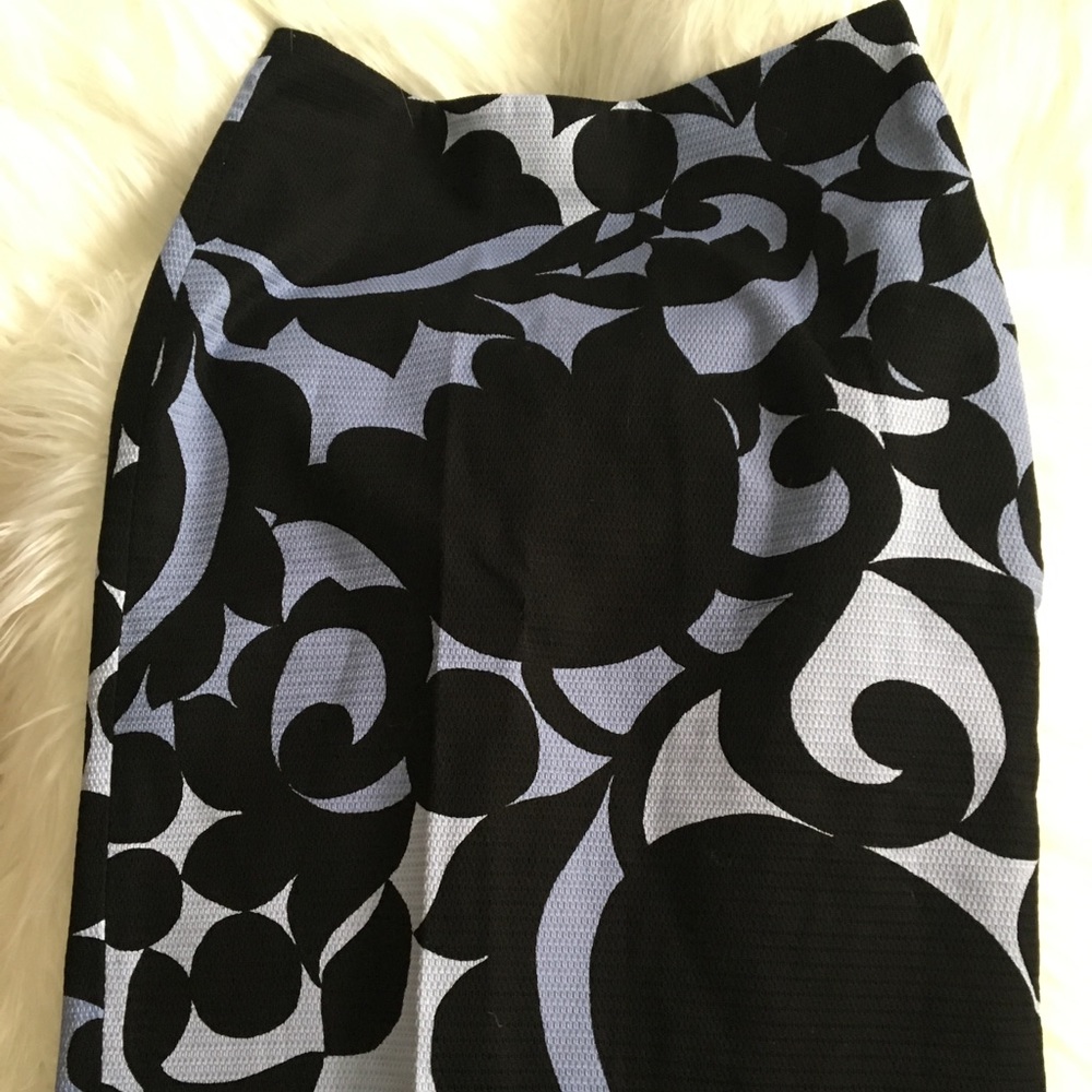 Ann Taylor Pencil Skirt
